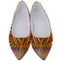 Pheonix Rising Women s Low Heels View1