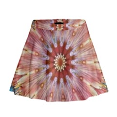 Pink Beauty 1 Mini Flare Skirt by LW41021