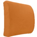Deep Saffron Orange Back Support Cushion View2