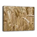 Wheat-field Canvas 16  x 12  (Stretched) View1