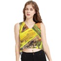 Blue Bird-1-2 V-Neck Cropped Tank Top View1