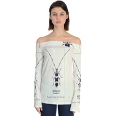 Img016 Off Shoulder Long Sleeve Top by Limerence
