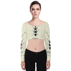 Img016 Velvet Long Sleeve Crop Top by Limerence