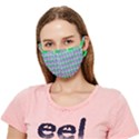 Checks Crease Cloth Face Mask (Adult) View1