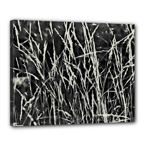 Abstract Light Games 9 Kiran Fa457 Canvas 20  X 16  (stretched) by DimitriosArt