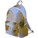 Triple Vision The Plain Backpack View1