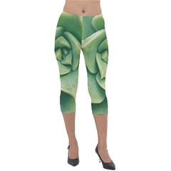 Echeveria Imbricata Closeup Photo Lightweight Velour Capri Leggings  by dflcprintsclothing