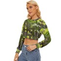 Bitter Melon Lightweight Long Sleeve Sweatshirt View2