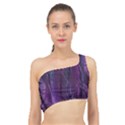 Feather Spliced Up Bikini Top  View1