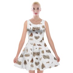 Architecture Velvet Skater Dress by nate14shop