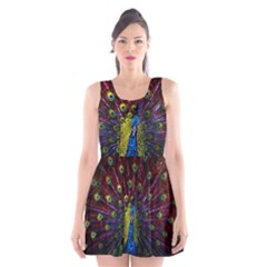 Beautiful Peacock Feather Scoop Neck Skater Dress by Jancukart