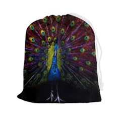 Beautiful Peacock Feather Drawstring Pouch (2xl) by Jancukart