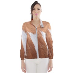Horse Coat Animal Equine Women s Windbreaker by artworkshop