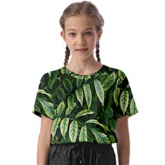 Leaves Foliage Twig Bush Plant Kids  Basic Tee by artworkshop