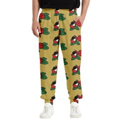 Guarana Fruit Brown Men s Elastic Waist Pants by ConteMonfrey