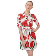 Watermelon Seamless Pattern Belted Shirt Dress by Jancukart