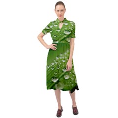 Green Water Leaf Keyhole Neckline Chiffon Dress by artworkshop