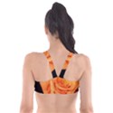 Color of Desire Plunge Bikini Top View2