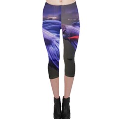 Betta Fish Photo And Wallpaper Cute Betta Fish Pictures Capri Leggings  by StoreofSuccess