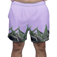 Cute Phone Wallpaper Men s Shorts by artworkshop