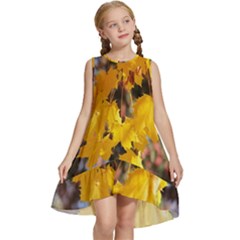 Amazing Arrowtown Autumn Leaves Kids  Frill Swing Dress by artworkshop