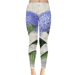 Blue Hydrangea Flower Painting Vintage Shabby Chic Dragonflies Leggings  by danenraven