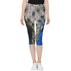 Peacock Bird Animal Feather Nature Colorful Inside Out Lightweight Velour Capri Leggings  by Ravend