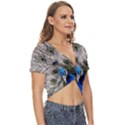 Peacock Bird Animal Feather Nature Colorful Twist Front Crop Top View3