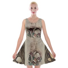Charming Toadstool Velvet Skater Dress by GardenOfOphir