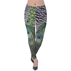 Peacock Bird Feather Colourful Velvet Leggings by Jancukart