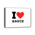 I love bruce Mini Canvas 7  x 5  (Stretched) View1