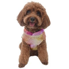 Background-104 Dog Sweater by nateshop