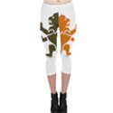 Lions Animals Wild Cats Capri Leggings  View1