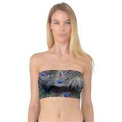Peacock Feathers Peacock Bird Feathers Bandeau Top by Jancukart