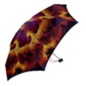 Phoenix Bird Mini Folding Umbrellas View2