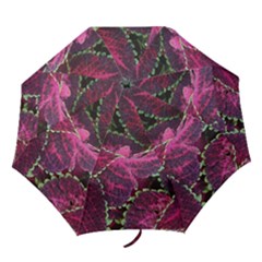 Abstract Beautiful Beauty Bright Folding Umbrellas by Semog4