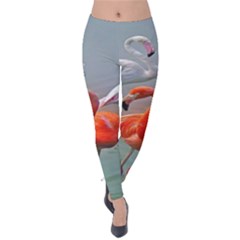 Birds Velvet Leggings by Sparkle