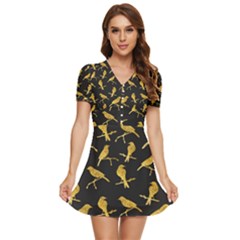 Background With Golden Birds V-neck High Waist Chiffon Mini Dress by pakminggu