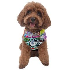 Kitten Cat Pet Animal Adorable Fluffy Cute Kitty Dog Sweater by 99art