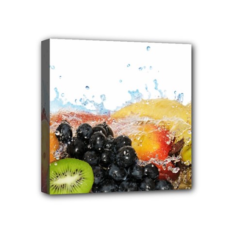 Variety Of Fruit Water Berry Food Splash Kiwi Grape Mini Canvas 4  X 4  (stretched) by B30l