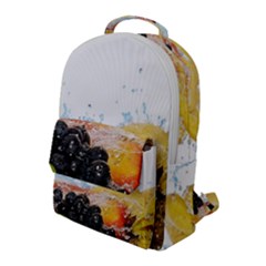 Variety Of Fruit Water Berry Food Splash Kiwi Grape Flap Pocket Backpack (large) by B30l