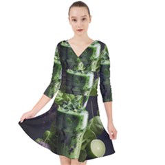 Drink Spinach Smooth Apple Ginger Quarter Sleeve Front Wrap Dress by Ndabl3x