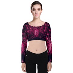 Peacock Pink Black Feather Abstract Velvet Long Sleeve Crop Top by Wav3s