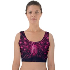 Peacock Pink Black Feather Abstract Velvet Crop Top by Wav3s