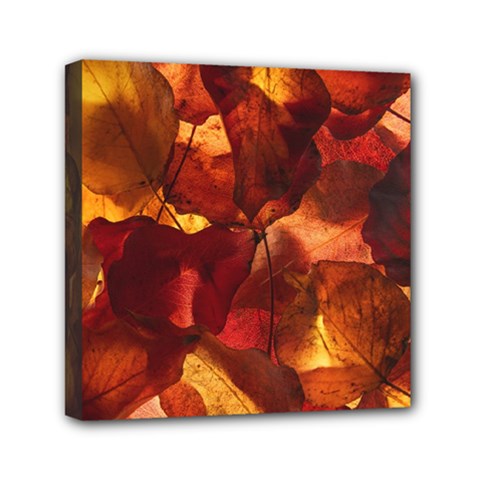 Leaves Fall Autumn Season Orange Mini Canvas 6  X 6  (stretched) by Ndabl3x