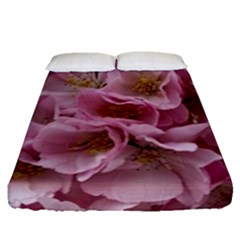 Cherry-blossoms Fitted Sheet (queen Size) by Excel