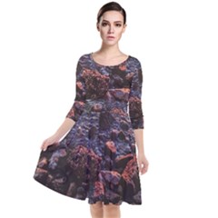 Twilight Treasures: Rocky Beachscape  Quarter Sleeve Waist Band Dress by dflcprintsclothing