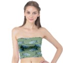 Fishes Pattern Background Tube Top View1