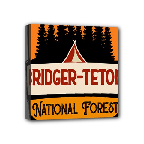 Bridger Teton T- Shirt Bridger Teton National Forest T- Shirt Mini Canvas 4  X 4  (stretched) by JamesGoode