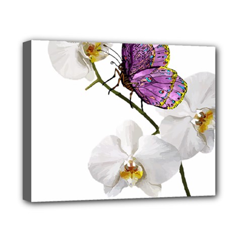 Butterfly Art T- Shirtbutterfly T- Shirt (2) Canvas 10  X 8  (stretched) by JamesGoode